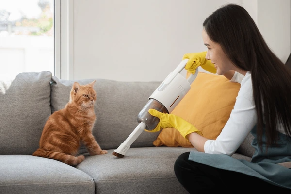Couch Cleaning Canberra