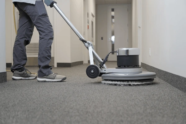 Professional Carpet Cleaner Near Me